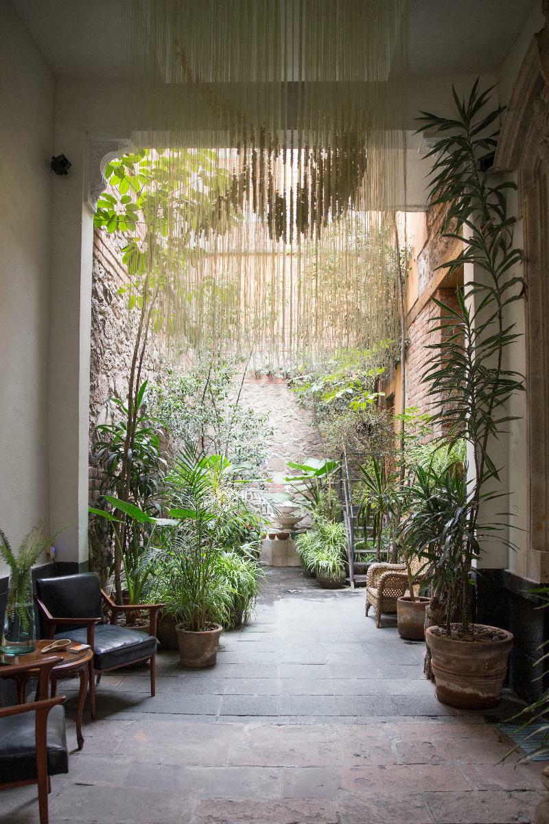 Couette-café El Patio 77 Mexico